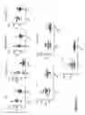 Fig. 06 - Anti-CD38 antibodies