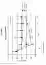 Fig. 08 - Anti-CD38 antibodies
