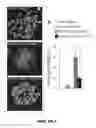 Fig. 29 - FUSION PROTEINS AND METHODS THEREOF
