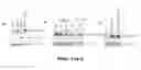 Fig. 52 - FUSION PROTEINS AND METHODS THEREOF