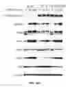 Fig. 56 - FUSION PROTEINS AND METHODS THEREOF