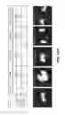 Fig. 58 - FUSION PROTEINS AND METHODS THEREOF