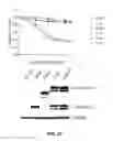 Fig. 67 - FUSION PROTEINS AND METHODS THEREOF