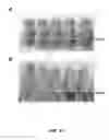 Fig. 71 - FUSION PROTEINS AND METHODS THEREOF