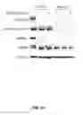 Fig. 72 - FUSION PROTEINS AND METHODS THEREOF