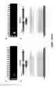 Fig. 93 - FUSION PROTEINS AND METHODS THEREOF