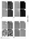 Fig. 94 - FUSION PROTEINS AND METHODS THEREOF