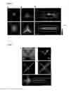 Fig. 08 - Cell culture