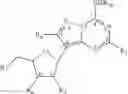 Fig. 07 - Double-stranded oligonucleotide molecules to P53 and methods of use thereof