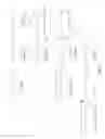 Fig. 02 - Recombinant bacterial cells producing (S)-2-amino-6-hydroxypimelate