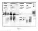 Fig. 02 - Method for differentiating between living and dead cells