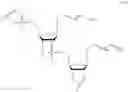 Fig. 28 - Nucleic acid probe, method for designing nucleic acid probe, and method for detecting target sequence