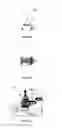 Fig. 09 - Nucleic acid amplification and detection kit