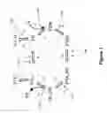 Fig. 02 - Sequencing reactions with lithium for pulse width control
