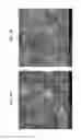 Fig. 06 - Diamond-coated substrates