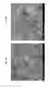 Fig. 07 - Diamond-coated substrates