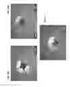 Fig. 11 - Diamond-coated substrates