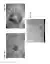 Fig. 12 - Diamond-coated substrates