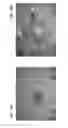 Fig. 13 - Diamond-coated substrates
