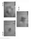 Fig. 14 - Diamond-coated substrates
