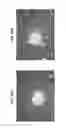 Fig. 16 - Diamond-coated substrates