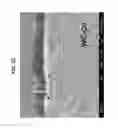 Fig. 18 - Diamond-coated substrates