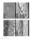 Fig. 22 - Diamond-coated substrates