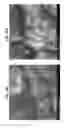 Fig. 28 - Diamond-coated substrates