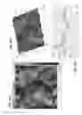 Fig. 31 - Diamond-coated substrates