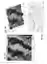 Fig. 32 - Diamond-coated substrates
