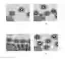 Fig. 01 - Method of improving cleanout of a wellbore