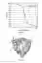 Fig. 02 - Pore Analysis