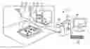 Fig. 01 - High throughput lens-free three-dimensional tracking of sperm
