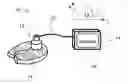 Fig. 01 - Spectroscopic characterization of seafood
