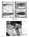 Fig. 08 - Spectroscopic characterization of seafood