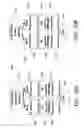 Fig. 09 - Spectroscopic characterization of seafood