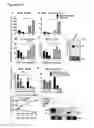 Fig. 04 - PERFORIN 2 DEFENSE AGAINST INVASIVE AND MULTIDRUG RESISTANT PATHOGENS