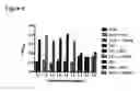 Fig. 07 - PERFORIN 2 DEFENSE AGAINST INVASIVE AND MULTIDRUG RESISTANT PATHOGENS
