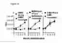 Fig. 41 - PERFORIN 2 DEFENSE AGAINST INVASIVE AND MULTIDRUG RESISTANT PATHOGENS