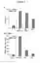 Fig. 07 - PHOSPHATIDYLINOSITOL-3-KINASE C2 BETA MODULATORS AND METHODS OF USE THEREOF