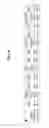 Fig. 02 - PRODUCTION OF BETA-CELLS