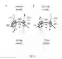 Fig. 02 - MODULATORS OF ION TRANSPORT PROTEINS OR ION CHANNELS AND METHODS OF IDENTIFYING AND USING SAME