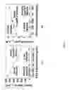 Fig. 06 - Biomolecular detection test strip design