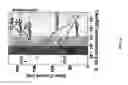 Fig. 07 - Biomolecular detection test strip design