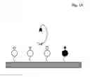 Fig. 02 - Methods of specifically releasing a sub-group of objects