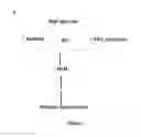 Fig. 09 - Predicting and treating diabetic complications