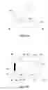 Fig. 11 - DEVICE AND METHOD FOR DETECTION OF ANALYTES