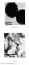 Fig. 06 - Urinary Crystal Detection System and Method Thereof