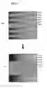 Fig. 12 - MRI embodiments for controlling an arrangement order of multiple echoes in a k-space