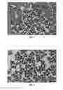 Fig. 02 - Highly reflective crystalline colloidal arrays with radiation absorbing particles